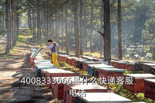 4008333666是什么快遞客服電話