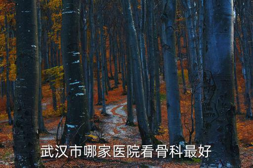 武漢市哪家醫院看骨科最好