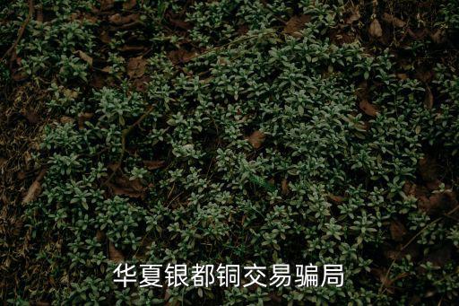華夏銀都銅交易騙局