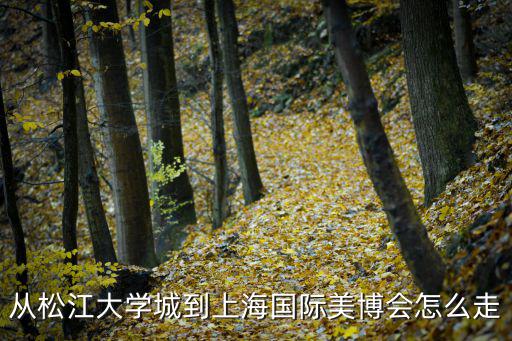 從松江大學城到上海國際美博會怎么走