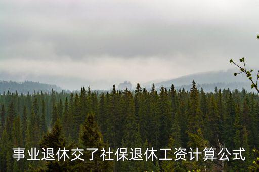 事業退休交了社保退休工資計算公式
