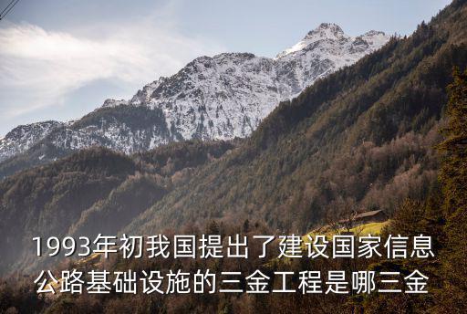 1993年初我國提出了建設國家信息公路基礎設施的三金工程是哪三金