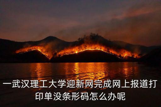 一武漢理工大學迎新網完成網上報道打印單沒條形碼怎么辦呢