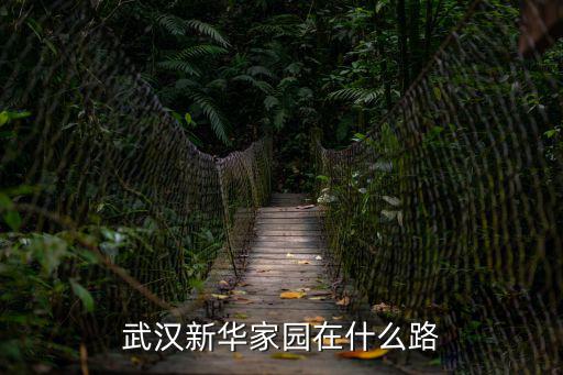 武漢新華家園在什么路