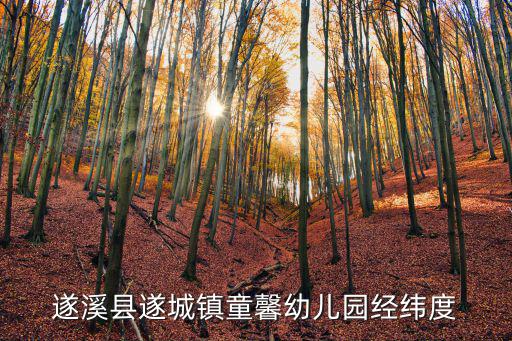 遂溪縣遂城鎮童馨幼兒園經緯度
