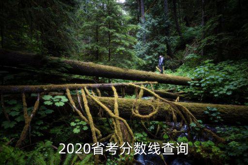 2020省考分數(shù)線查詢