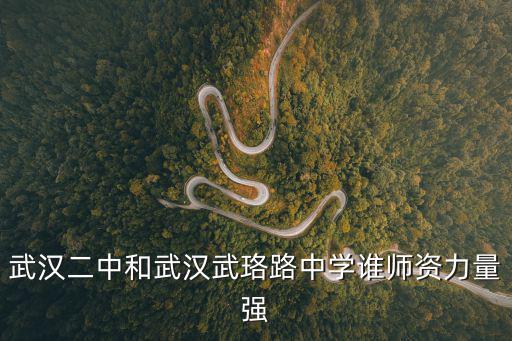 武漢二中和武漢武珞路中學(xué)誰師資力量強(qiáng)