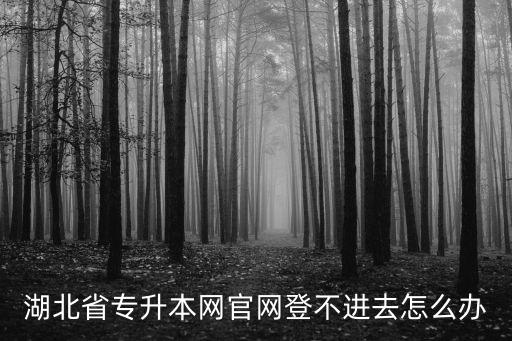 湖北省專升本網(wǎng)官網(wǎng)登不進(jìn)去怎么辦