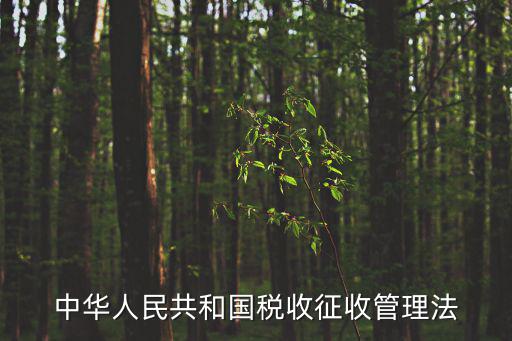 中華人民共和國稅收征收管理法