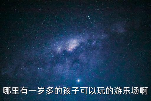 哪里有一歲多的孩子可以玩的游樂場啊