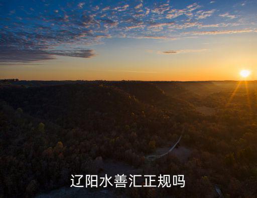 水善匯，遼陽(yáng)水善匯正規(guī)嗎