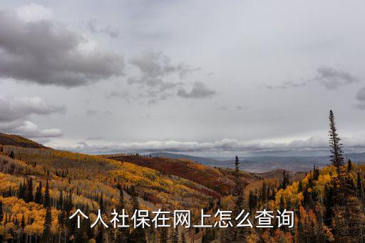 個人社保在網上怎么查詢