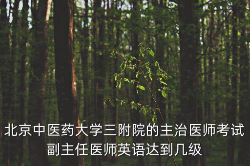 北京中醫藥大學三附院的主治醫師考試副主任醫師英語達到幾級
