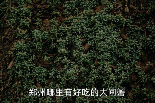 鄭州哪里有好吃的大閘蟹