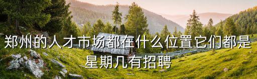 鄭州的人才市場都在什么位置它們都是星期幾有招聘