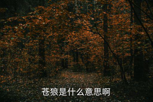 倉狼，蒼狼哪個臺