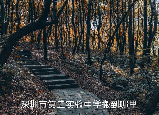 第二實驗中學，深圳市第二實驗中學搬到哪里