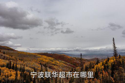 聯華超市，關于世紀聯華 和聯華超市的問題