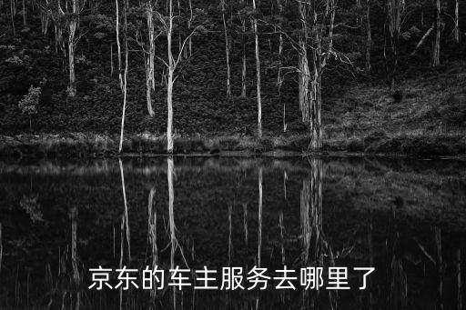 京東的車主服務(wù)去哪里了