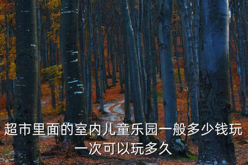 超市里面的室內(nèi)兒童樂(lè)園一般多少錢玩一次可以玩多久