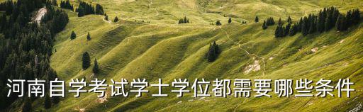 河南自學(xué)考試學(xué)士學(xué)位都需要哪些條件