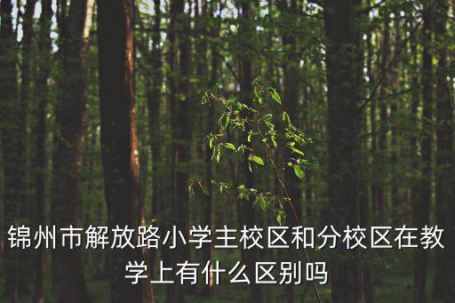 錦州市解放路小學主校區和分校區在教學上有什么區別嗎