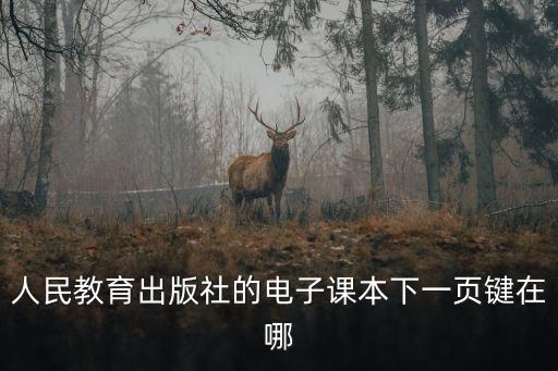 人教版電子課本，人民教育出版社的電子課本下一頁鍵在哪