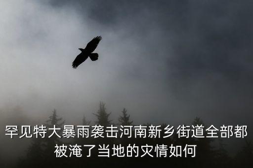 罕見特大暴雨襲擊河南新鄉街道全部都被淹了當地的災情如何