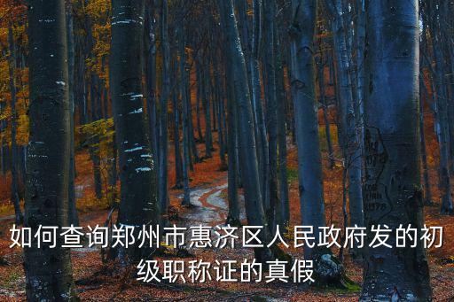 鄭州職稱網，鄭州職稱網和河南職稱網個人版軟件下載不了怎么辦呀評職稱必須得有這個