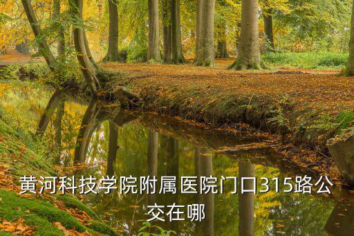 黃河科技學(xué)院附屬醫(yī)院門(mén)口315路公交在哪