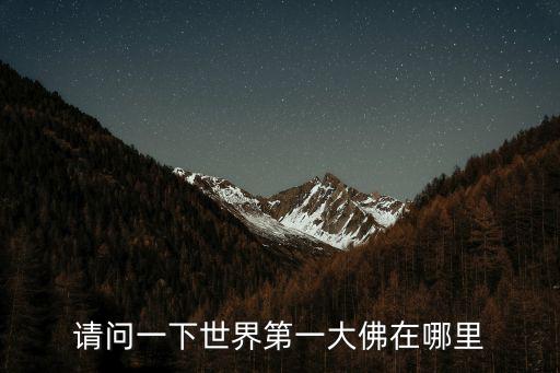 請問一下世界第一大佛在哪里