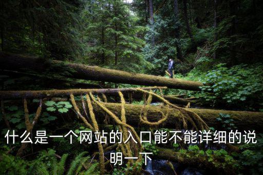 什么是一個(gè)網(wǎng)站的入口能不能詳細(xì)的說明一下