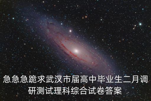 急急急跪求武漢市屆高中畢業生二月調研測試理科綜合試卷答案