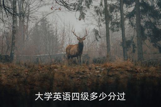大學英語四級多少分過