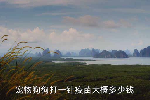 打疫苗多少錢，打狂犬疫苗要多少錢