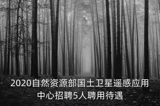 自然資源部招聘，2020自然資源部國土衛星遙感應用中心招聘5人聘用待遇