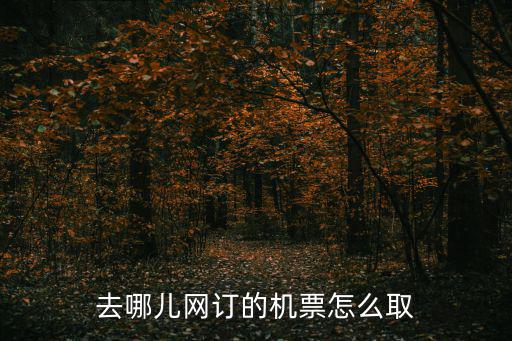 去哪兒網訂的機票怎么取