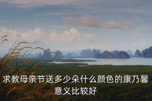 求教母親節送多少朵什么顏色的康乃馨意義比較好
