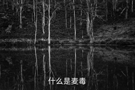 什么是麥毒