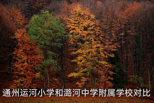 運(yùn)河小學(xué)，聊城運(yùn)河小學(xué)是私立學(xué)校嗎