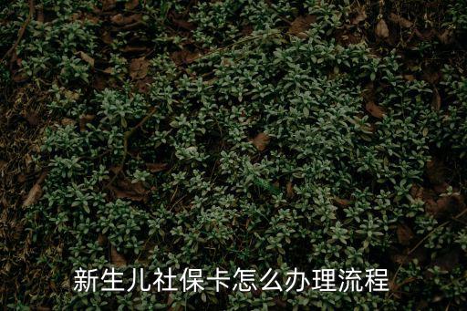 新生兒社保卡怎么辦理流程