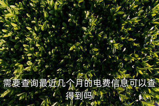 需要查詢最近幾個月的電費信息可以查得到嗎
