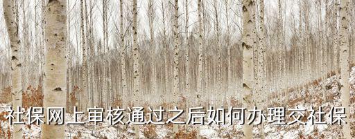社保審核網(wǎng)上辦理，網(wǎng)上辦理社保審核通過就成功了嗎