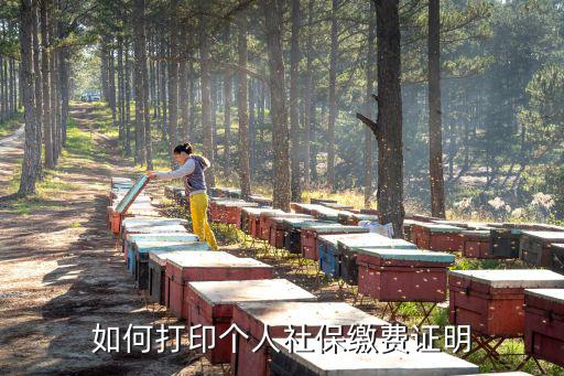 如何打印個人社保繳費證明
