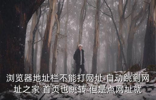 瀏覽器地址欄不能打網(wǎng)址 自動跳到網(wǎng)址之家 首頁也跳轉(zhuǎn) 但是點網(wǎng)址就