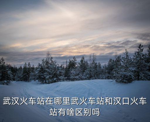 武漢火車站在哪里武火車站和漢口火車站有啥區別嗎