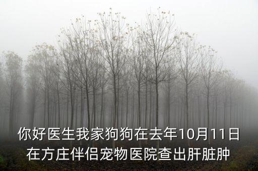 你好醫生我家狗狗在去年10月11日在方莊伴侶寵物醫院查出肝臟腫