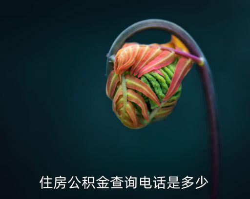 住房公積金查詢電話是多少
