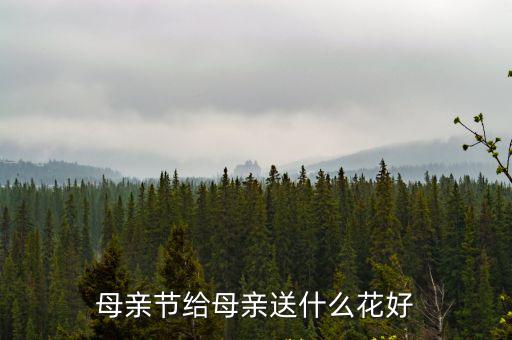 母親節送什么花好，求教母親節送多少朵什么顏色的康乃馨意義比較好
