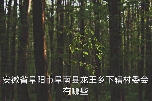 安徽省阜陽(yáng)市阜南縣龍王鄉(xiāng)下轄村委會(huì)有哪些